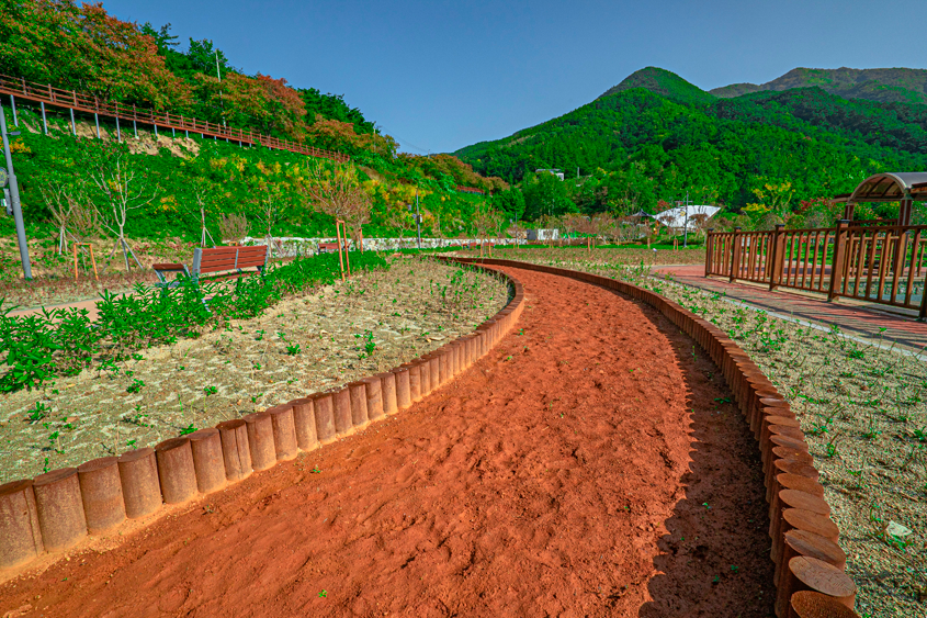 오행오감 맨발로드 사진4